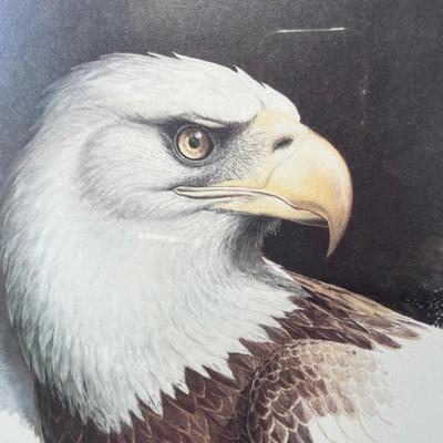 Lot 231 Bald Eagle Print