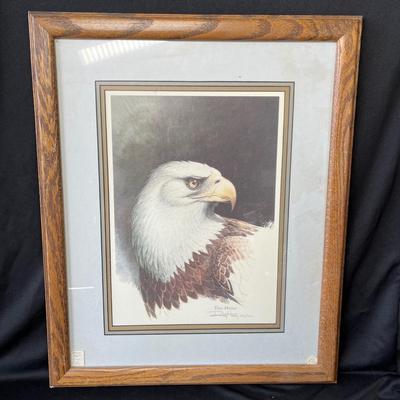 Lot 231 Bald Eagle Print