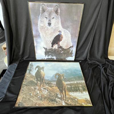 Lot 232 Wild Life pictures