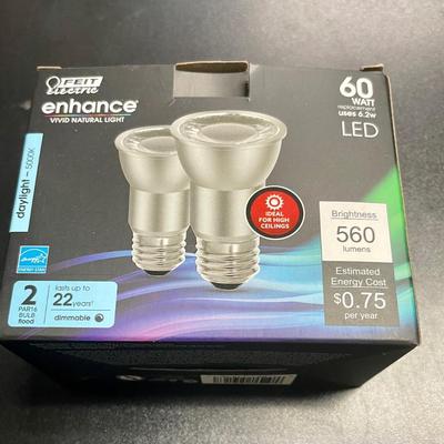 LED 60 Watt Lightbulbs