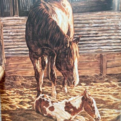 Of Women and Horses Coffee Table Book