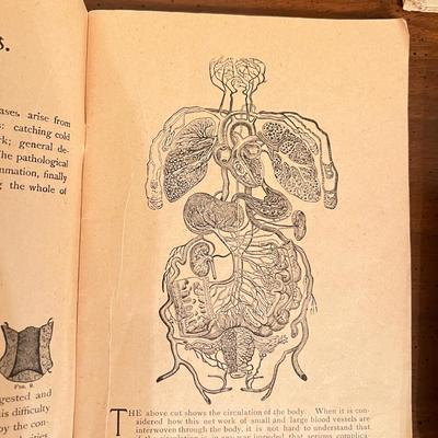 Interesting Antique Lot - Booklets, Photo, Writings Encased in Fabric