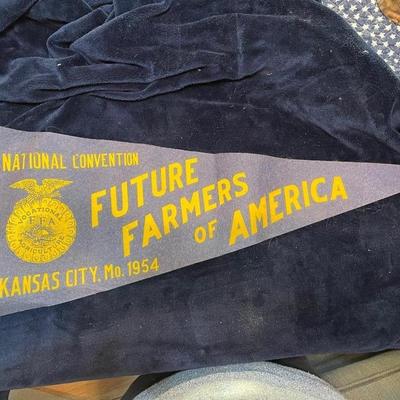 1954 FFA pennant