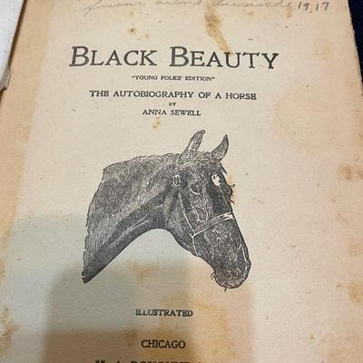 Black Beauty