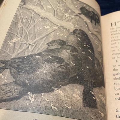 Little Pets Pleasure book