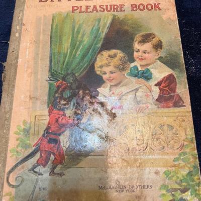 Little Pets Pleasure book