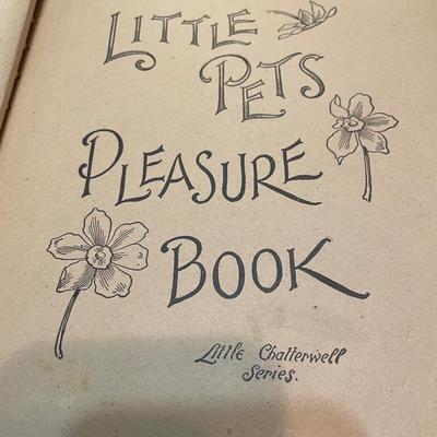 Little Pets Pleasure book