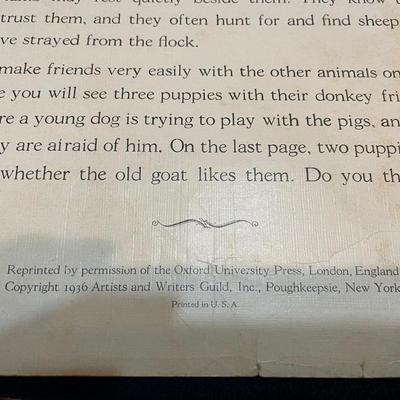 Dogs & Their friends