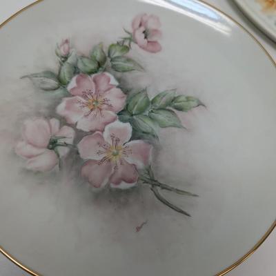 Hand Painted Plates