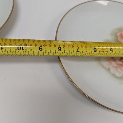 Hand Painted Plates