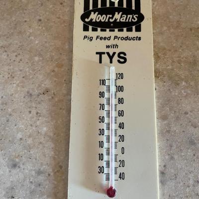 Thermometer