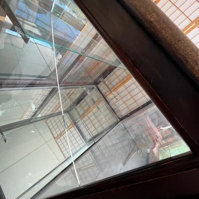 Lot 300 Antique Display case