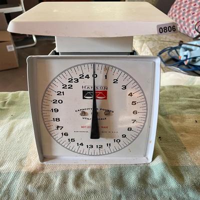 Hanson 35# scale