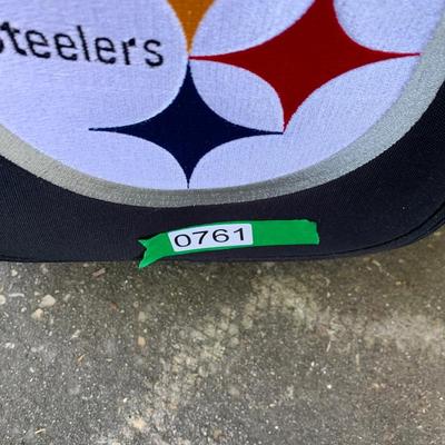 Clean Pittsburg Steelers Luggage & Scarf