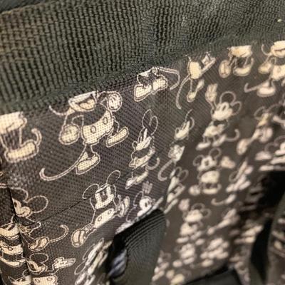 Large Purse / Tote Bag