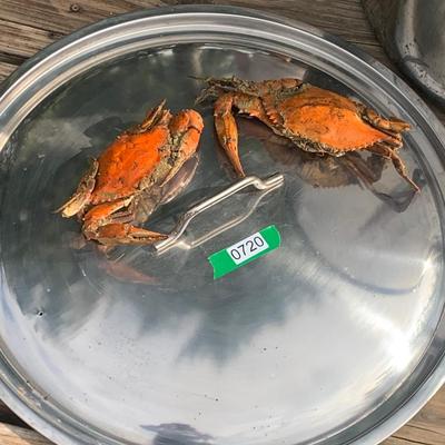 Monster Crab Pot - Almost 2’ x 2’ - Used Once