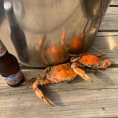 Monster Crab Pot - Almost 2’ x 2’ - Used Once
