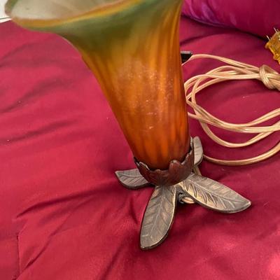 Hummingbird light