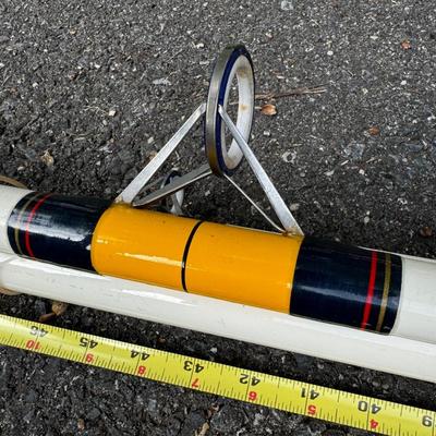 Surf Rod with Daiwa Graphite Reel