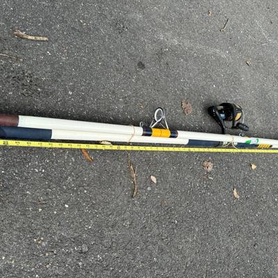 Surf Rod with Daiwa Graphite Reel