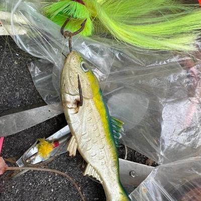 Plano Tackle Box with many Large Fishing Lures