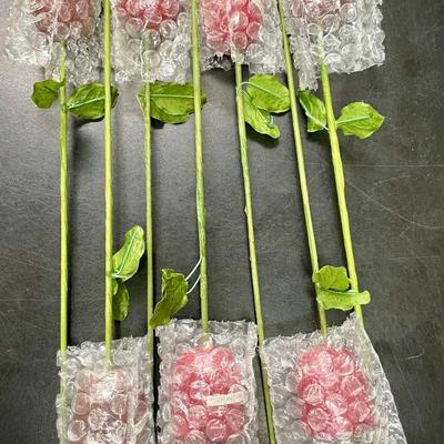 Lot of 7 Long-stemmed Rose Candles