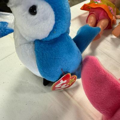 TY Collectables / Doll Lot