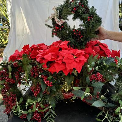 3 Wreaths & 4 Poinsettias Plants