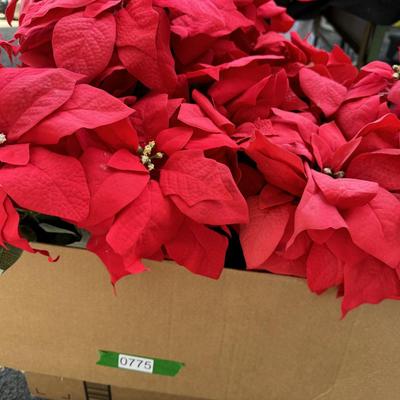 3 Wreaths & 4 Poinsettias Plants