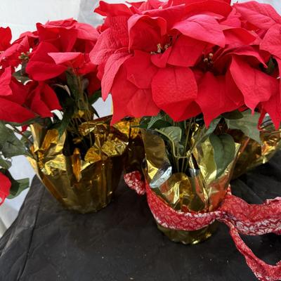 3 Wreaths & 4 Poinsettias Plants