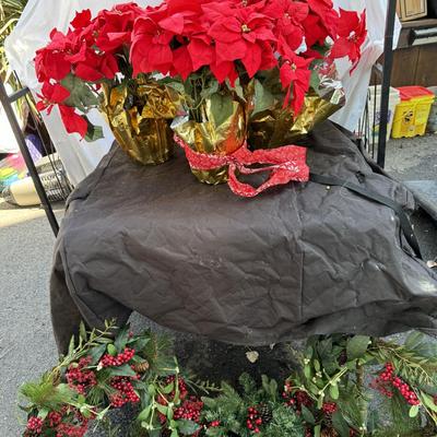 3 Wreaths & 4 Poinsettias Plants