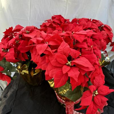 3 Wreaths & 4 Poinsettias Plants
