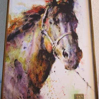 Framed Horse Picture