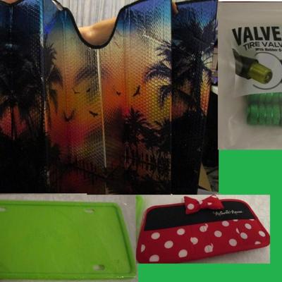 Minnie Mouse Visor organizer, silicone license plate cover, valve locks, windshield sun shade