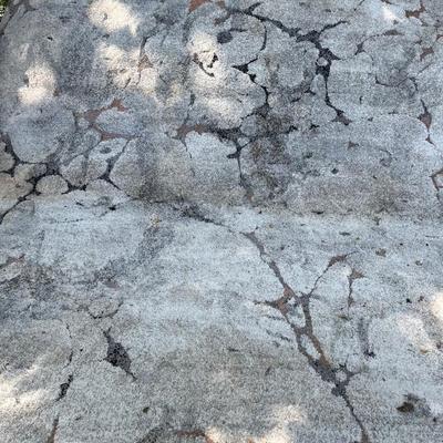 Alverstone Collection 7’ 10” x 9’ 10” Area Rug