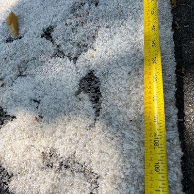 Alverstone Collection 7’ 10” x 9’ 10” Area Rug