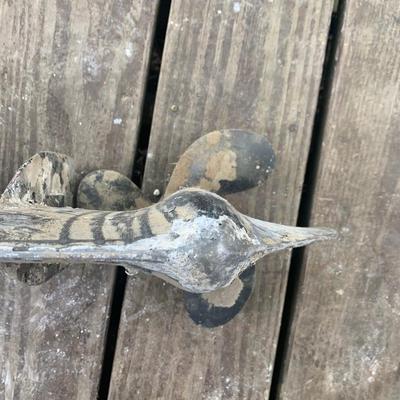 Mercury Outboard Boat Motor