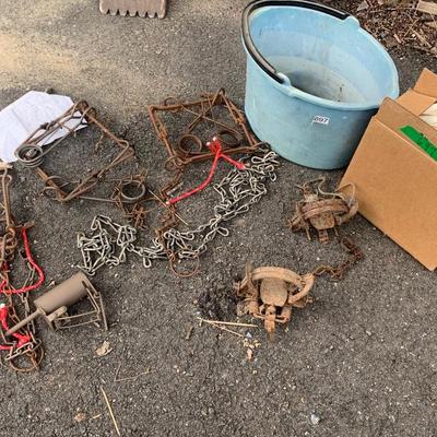 Animal Traps Lot