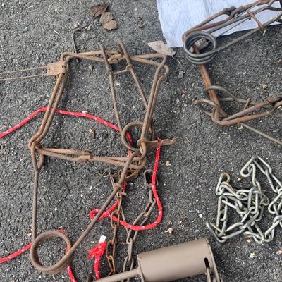 Animal Traps Lot