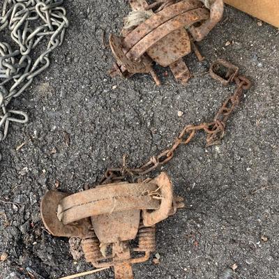 Animal Traps Lot