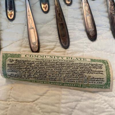 Community Plate spoons