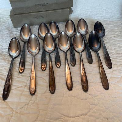 Community Plate spoons