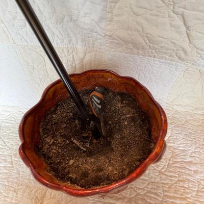 Beautiful plant pot