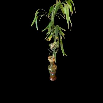 Bohemian glass vase with plant
