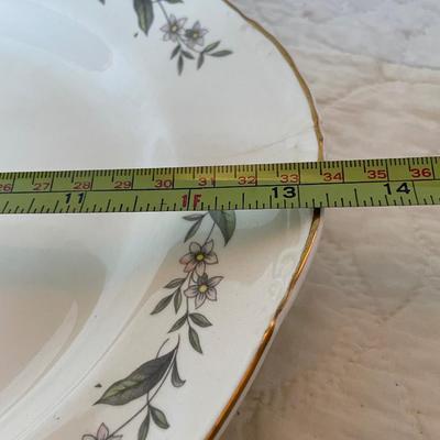 Eggshell Nautilus plate