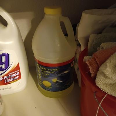 HOUSEHOLD CLEANING CHEMICALS, RAGS AND BUCKET