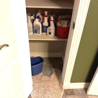 HOUSEHOLD CLEANING CHEMICALS, RAGS AND BUCKET