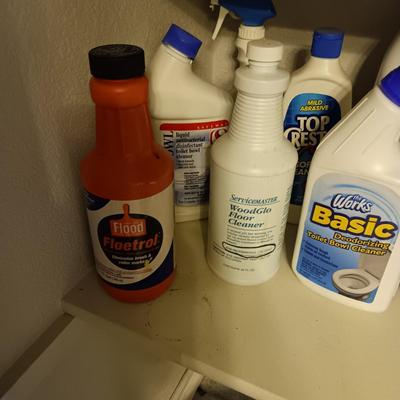 HOUSEHOLD CLEANING CHEMICALS, RAGS AND BUCKET