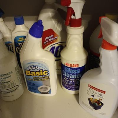 HOUSEHOLD CLEANING CHEMICALS, RAGS AND BUCKET