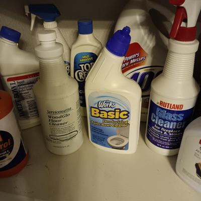 HOUSEHOLD CLEANING CHEMICALS, RAGS AND BUCKET